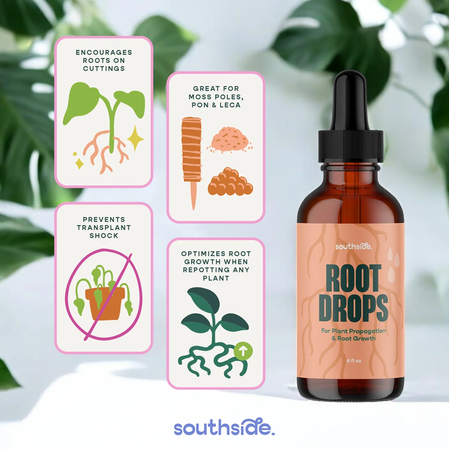 Root Drops - For Propagations & Repotting - Image 3