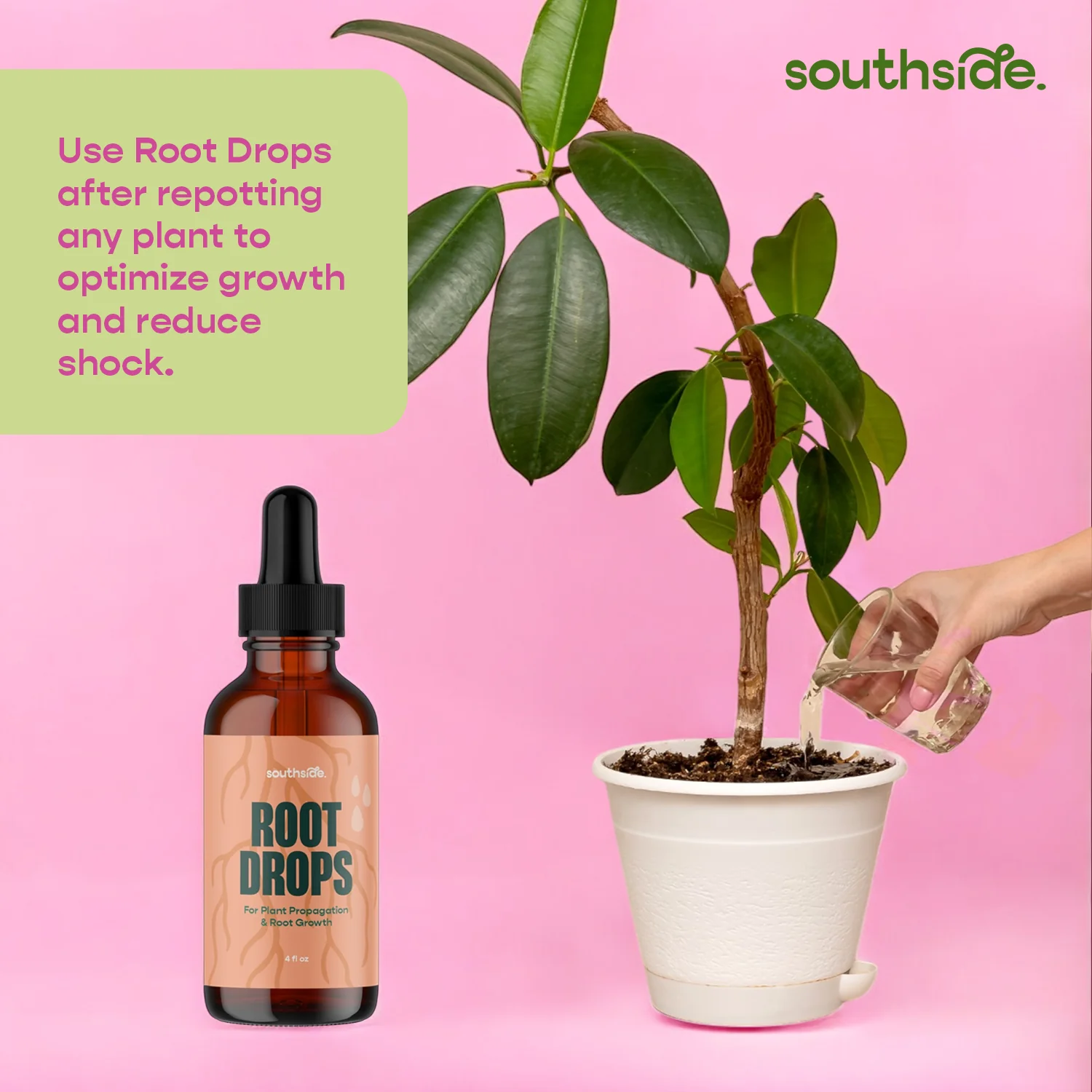 Root Drops - For Propagations & Repotting - Image 4