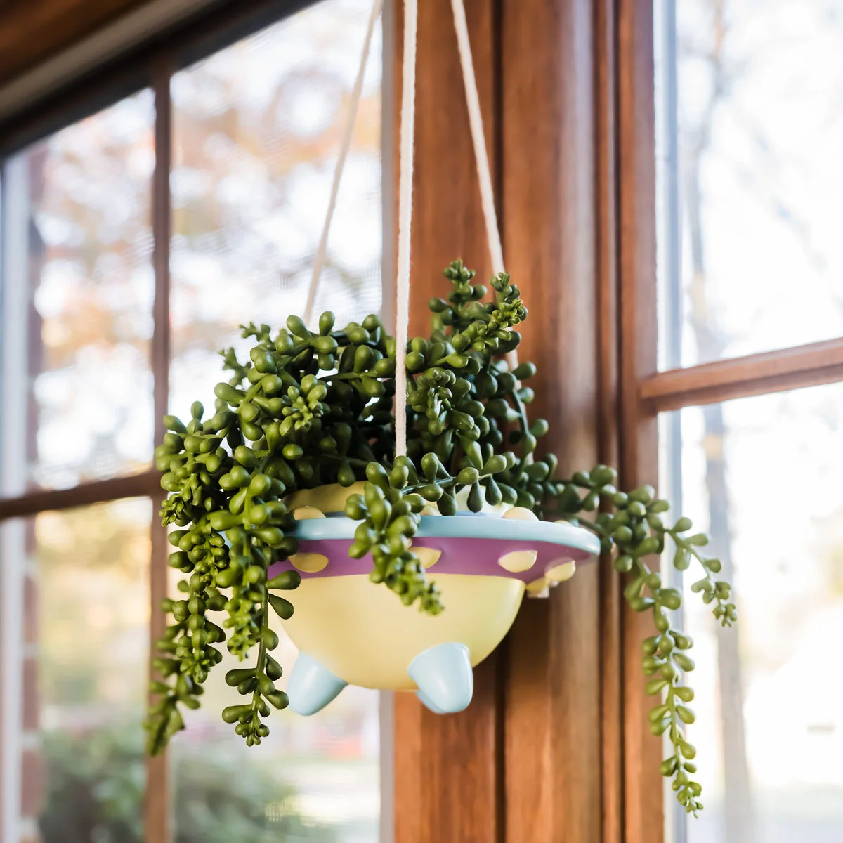 Rosie: UFO Hanging Plant Pot - Image 2