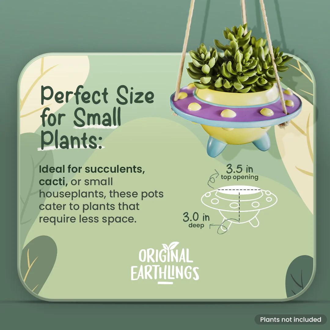 Rosie: UFO Hanging Plant Pot - Image 4