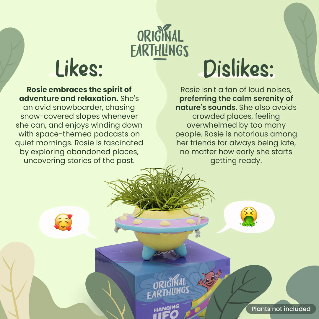 Rosie: UFO Hanging Plant Pot - Image 6