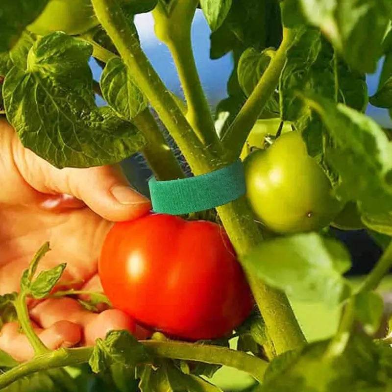 Self-Adhesive Reusable Garden Plant Tie Straps – Hook & Loop Support Tape - Image 4