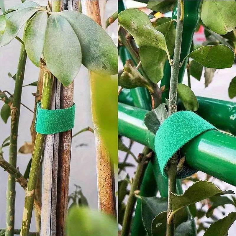 Self-Adhesive Reusable Garden Plant Tie Straps – Hook & Loop Support Tape - Image 7