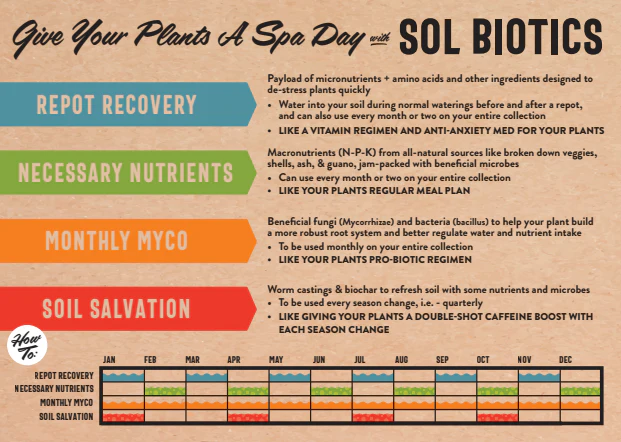 Sol Biotics Bundle Pack - Image 7
